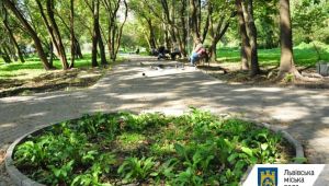 У парку «700-річчя Львова» завершили водовідведення