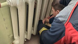 Фото для новини