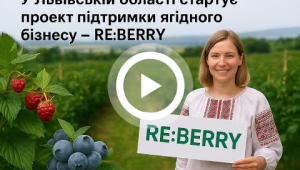 Відеоканал