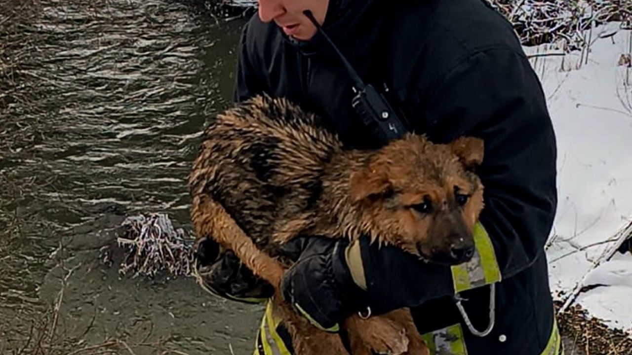 Фото до новини