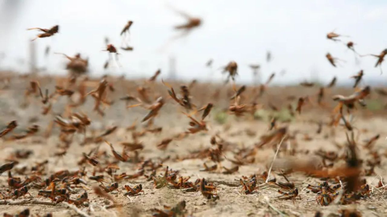 Фото до новини