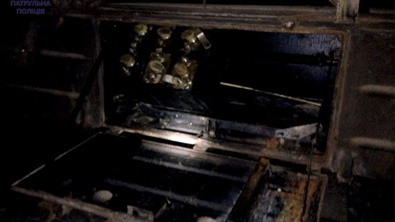 Фото до новини