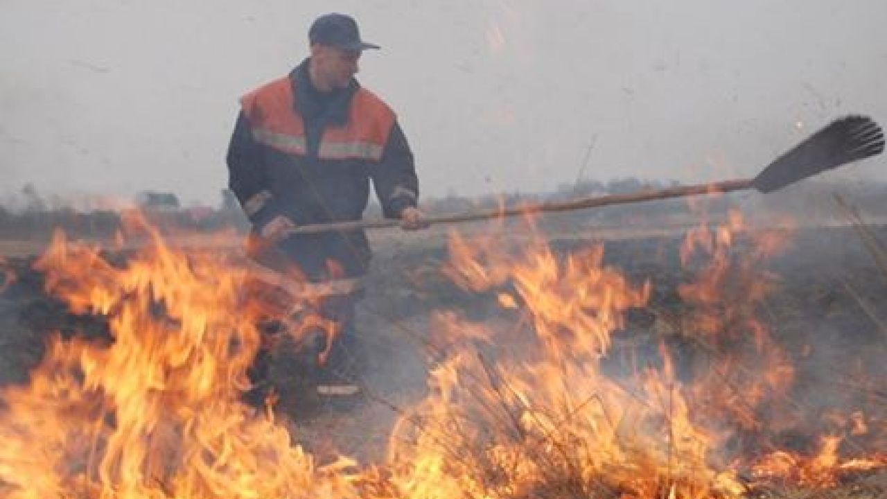 Фото до новини