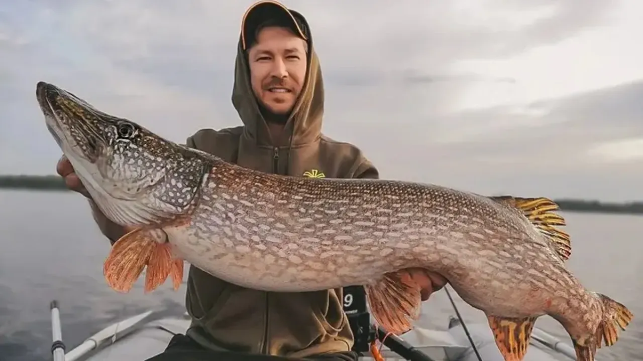 Фото до новини