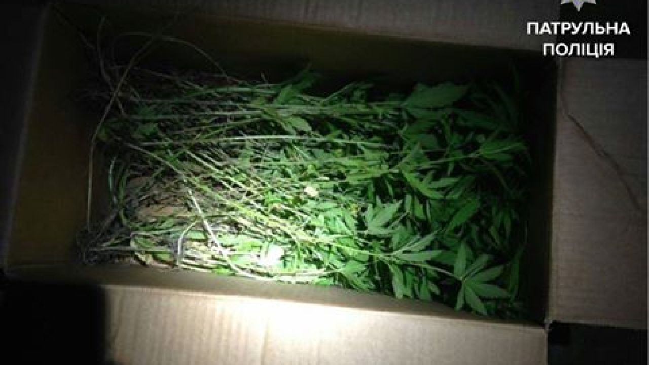 Фото до новини