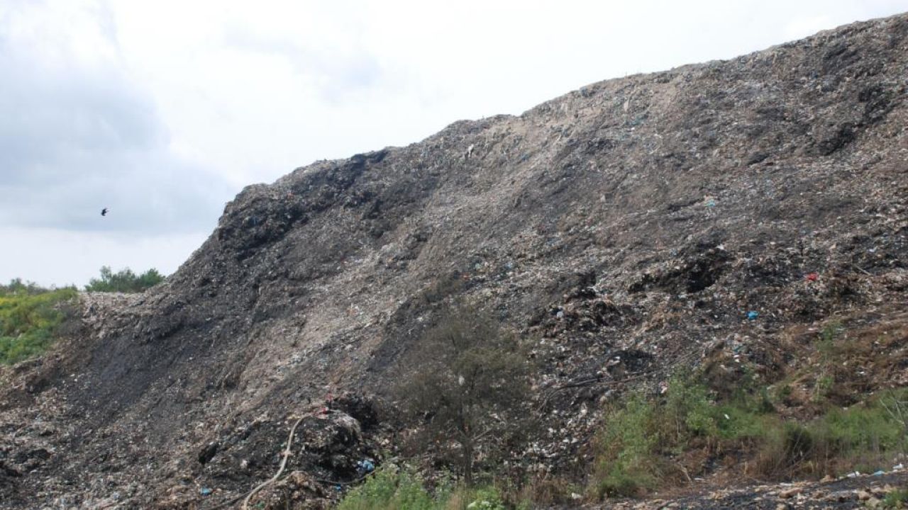 Фото до новини