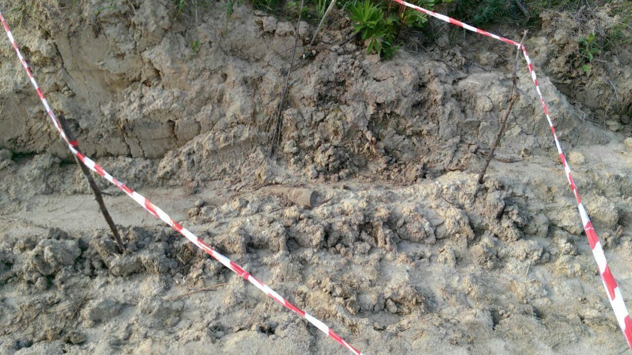 Фото до новини