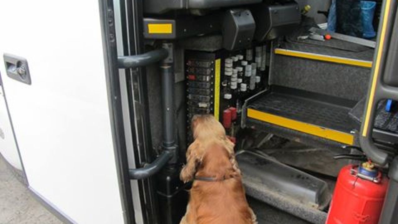 Фото до новини