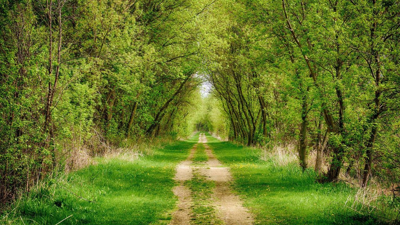 Фото до новини