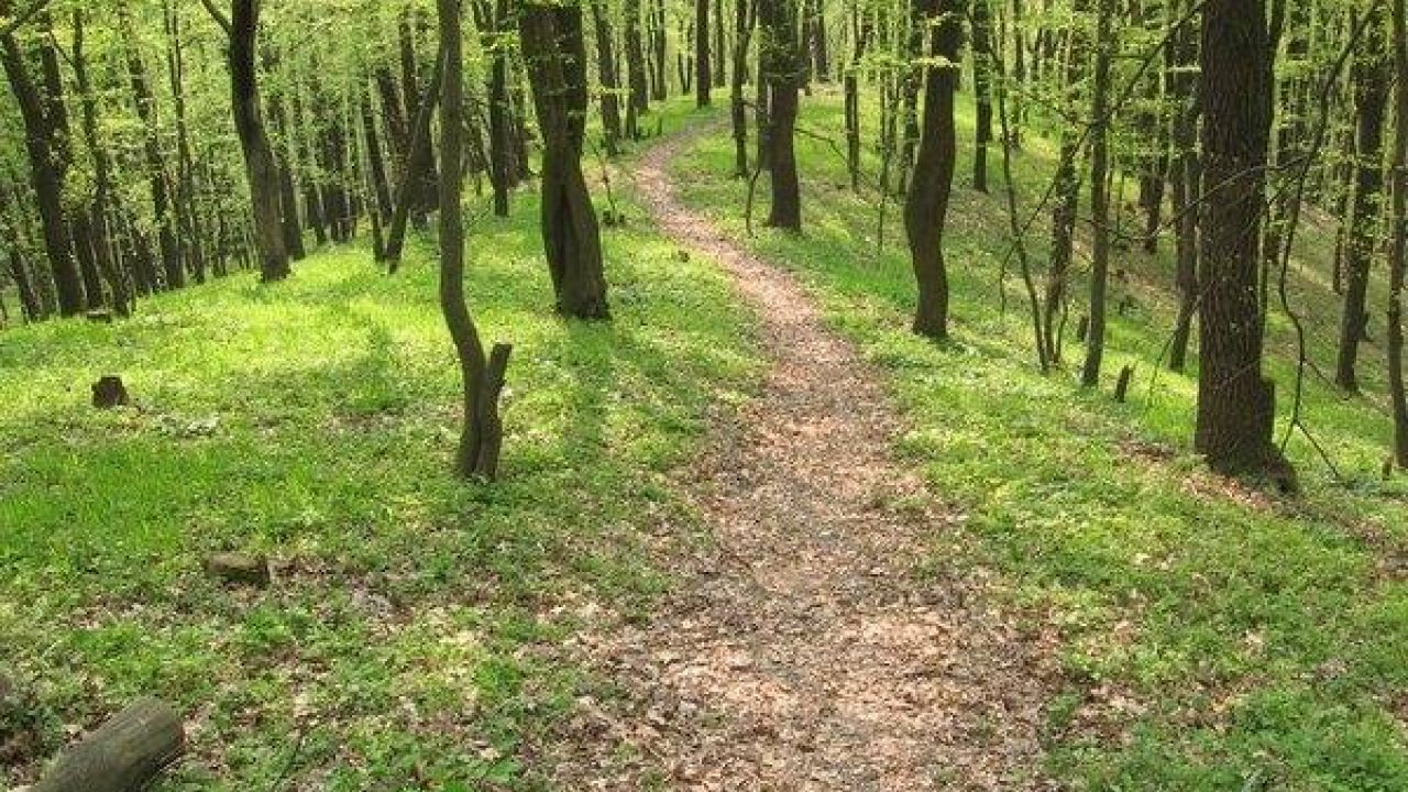 Фото до новини