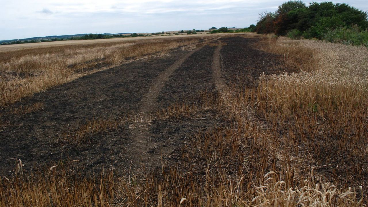 Фото до новини