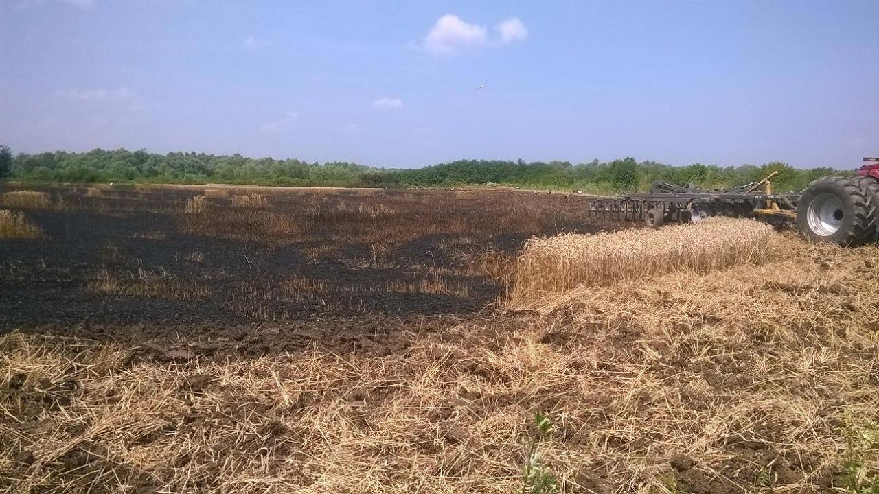 Фото до новини