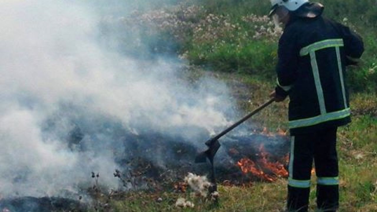 Фото до новини