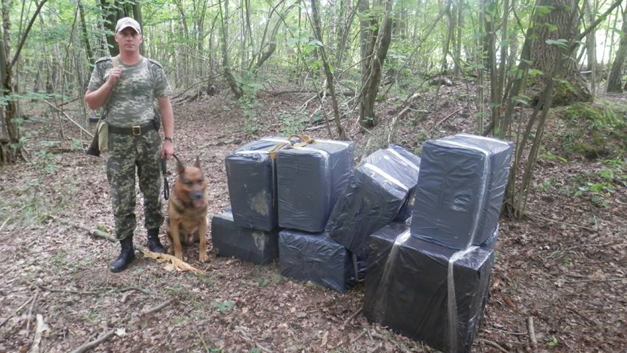 Фото до новини