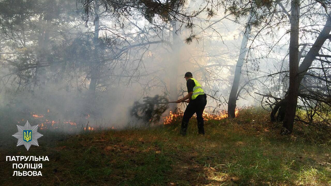 Фото до новини