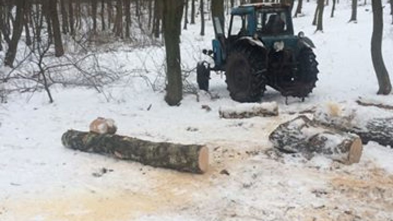 Фото до новини