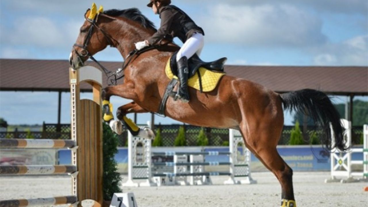 Фото до новини