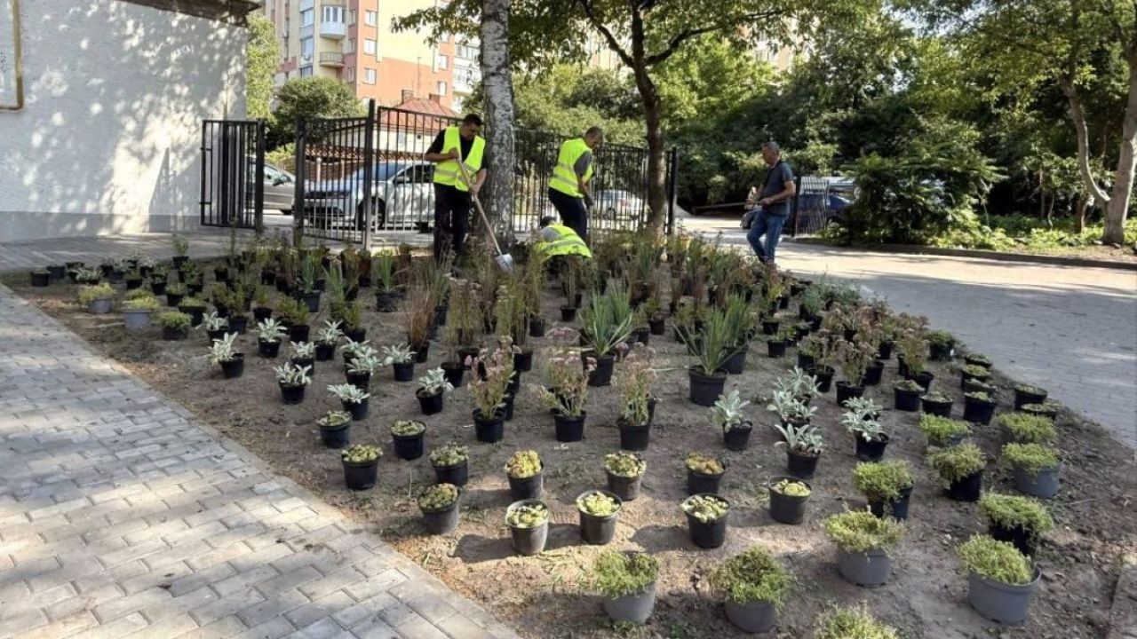 Фото до новини