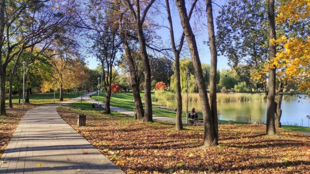 Фото до новини