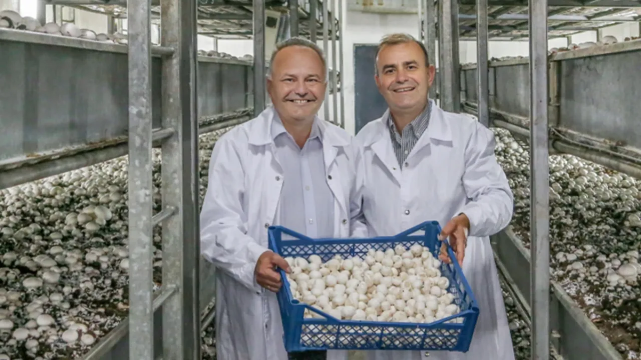 Фото до новини