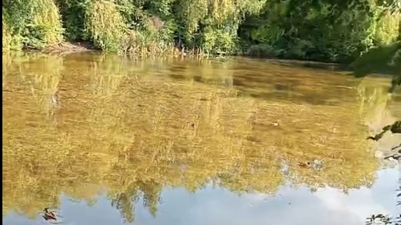 Фото до новини