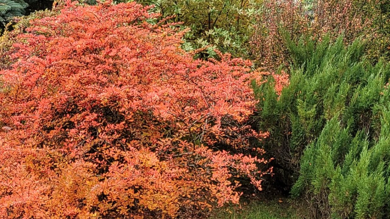 Фото до новини