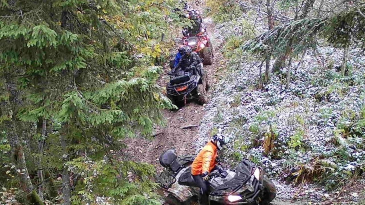 Фото до новини