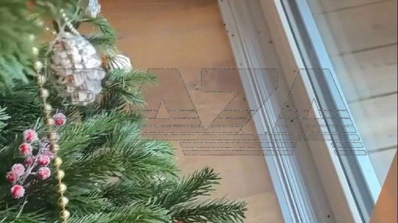 Фото до новини