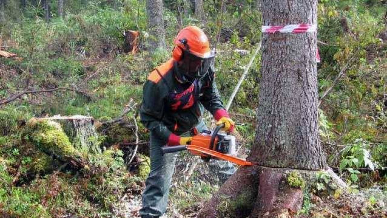 Фото до новини