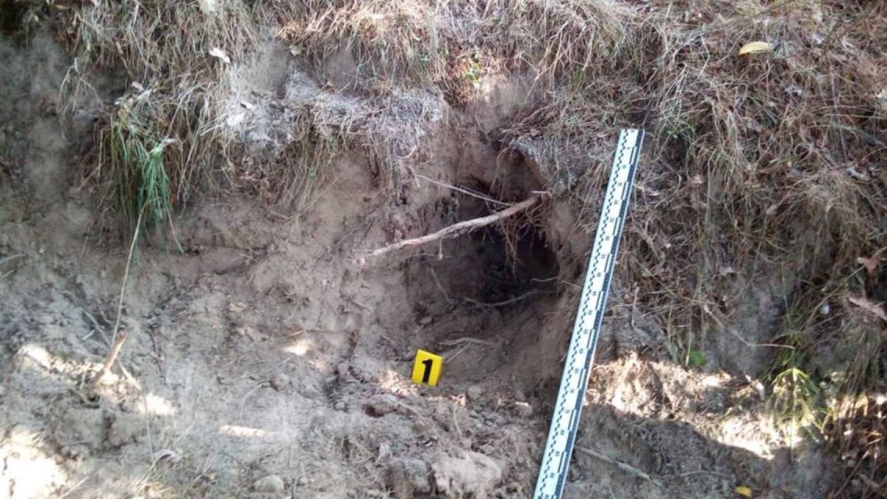 Фото до новини