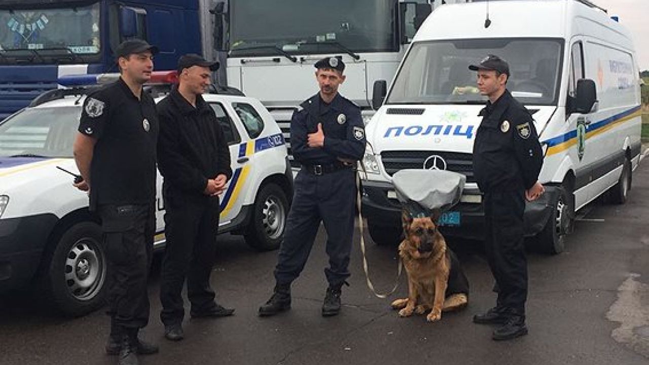 Фото до новини