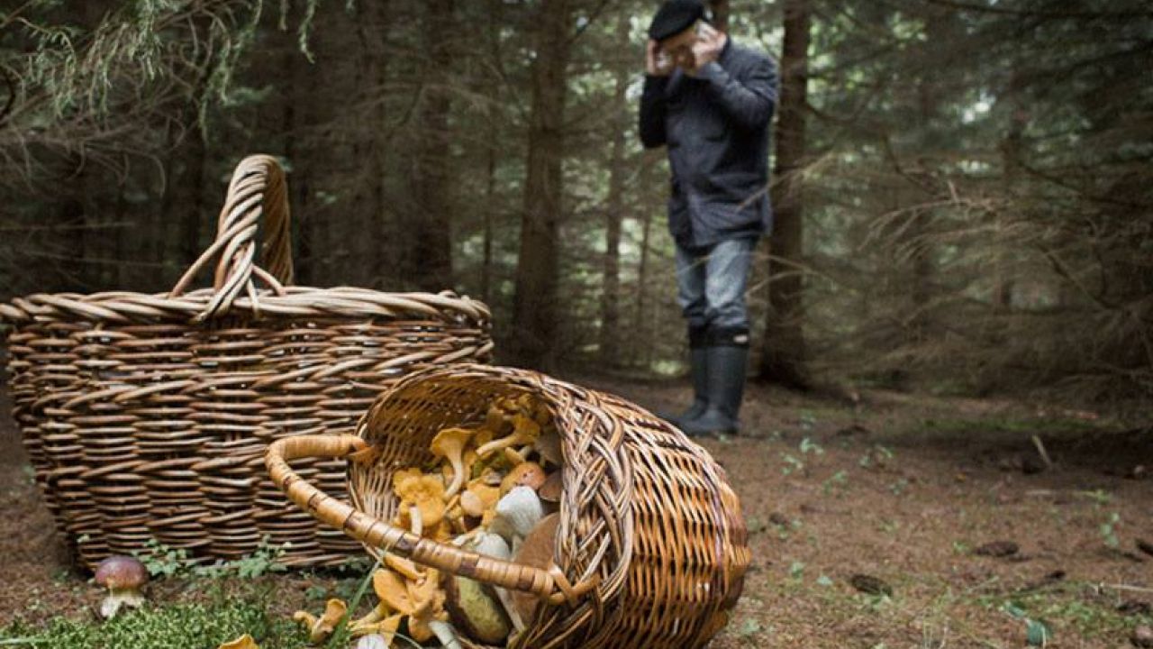 Фото до новини