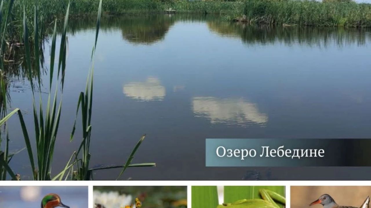 Фото до новини