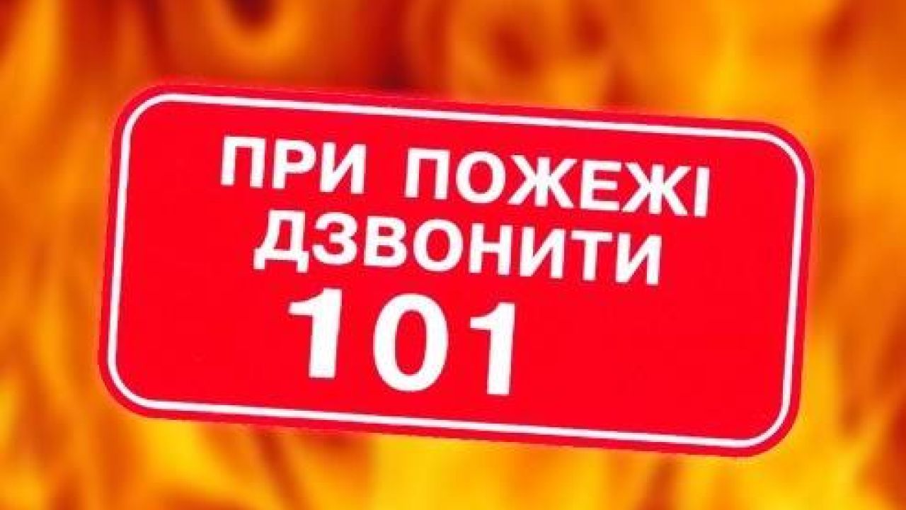 Фото до новини