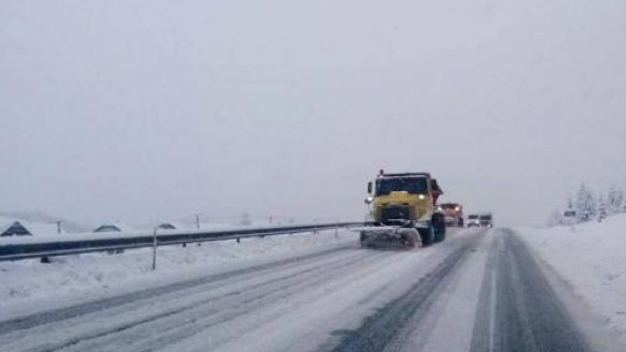 Світлина з архіву
