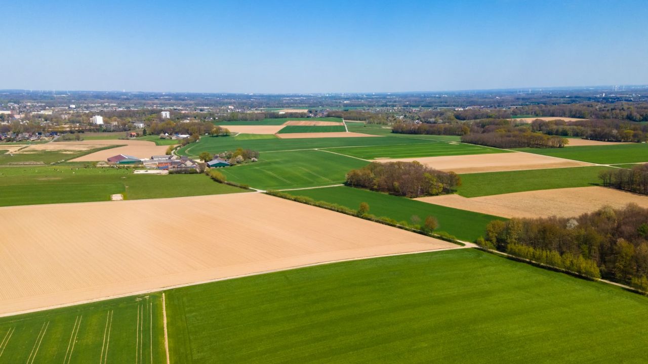 Фото до новини