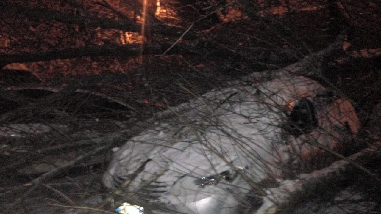 Фото до новини