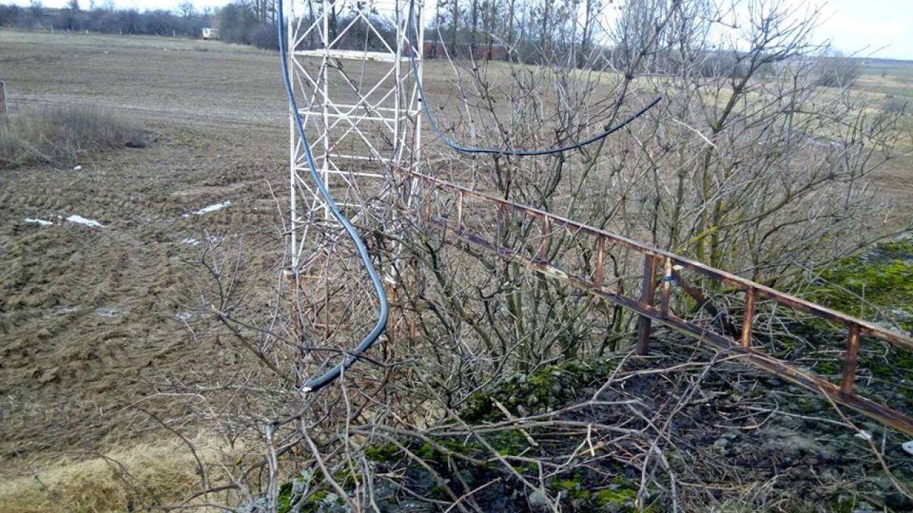 Фото до новини