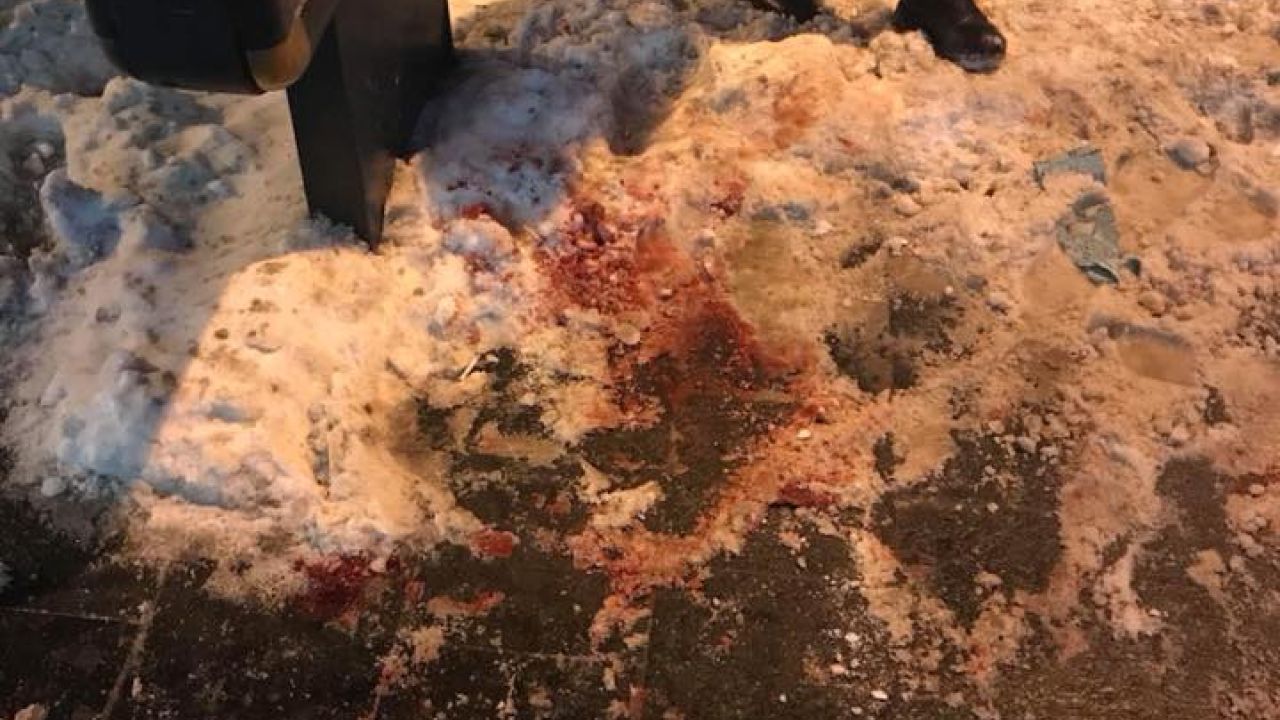 Фото до новини