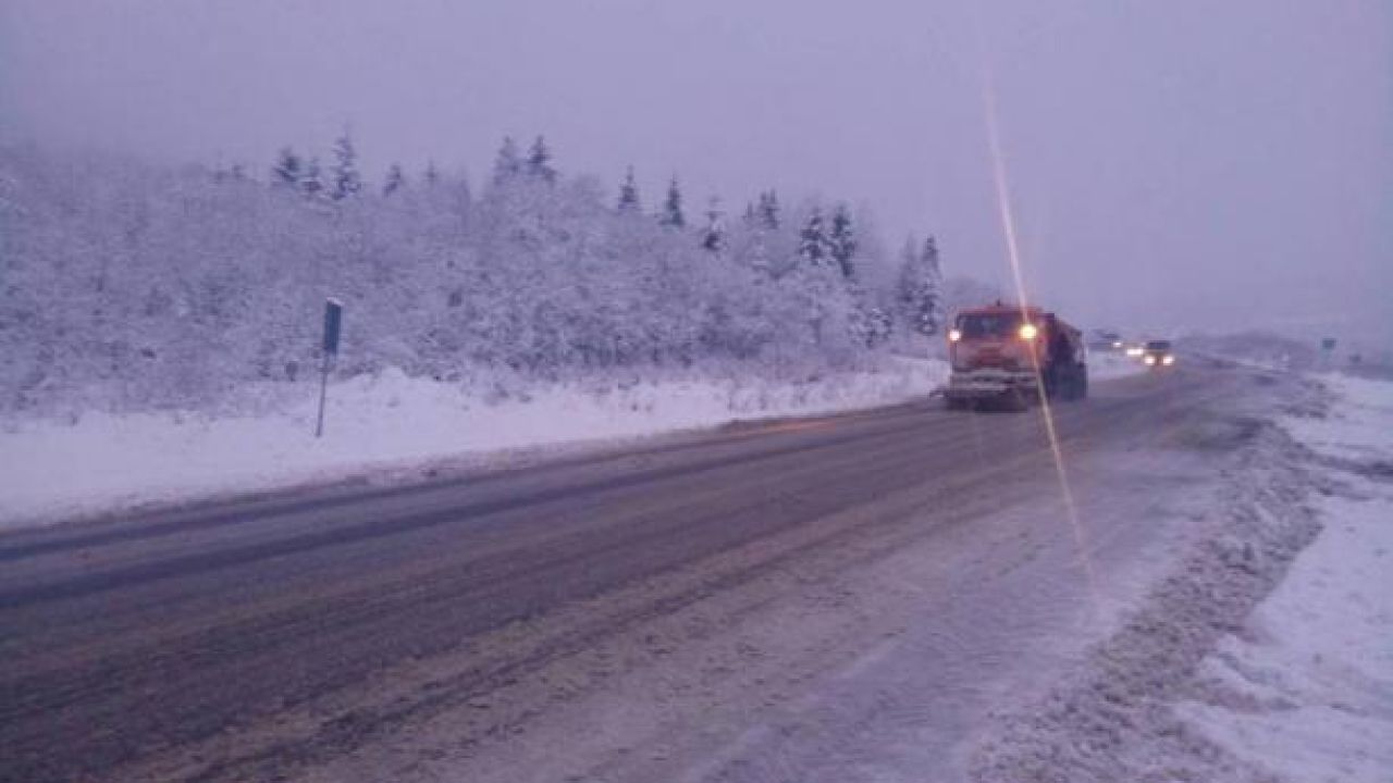 Фото до новини