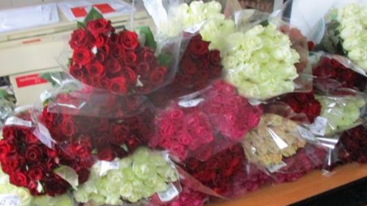 Фото до новини