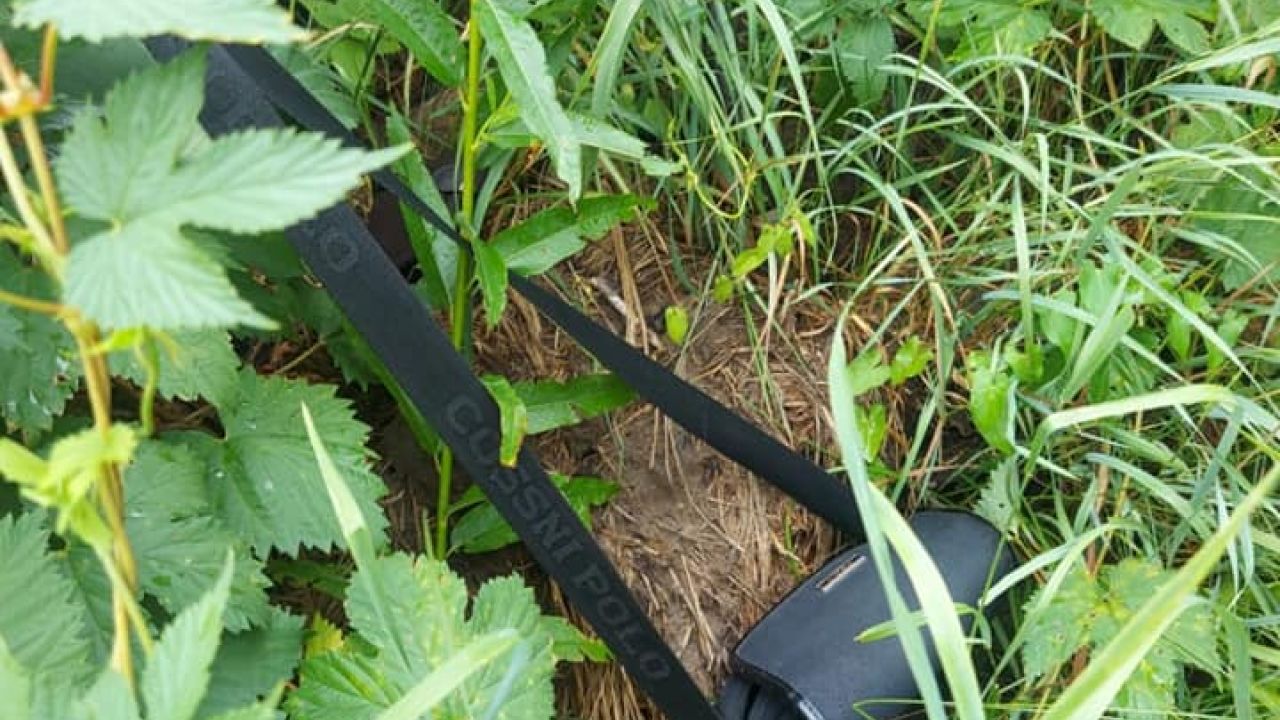 Фото до новини