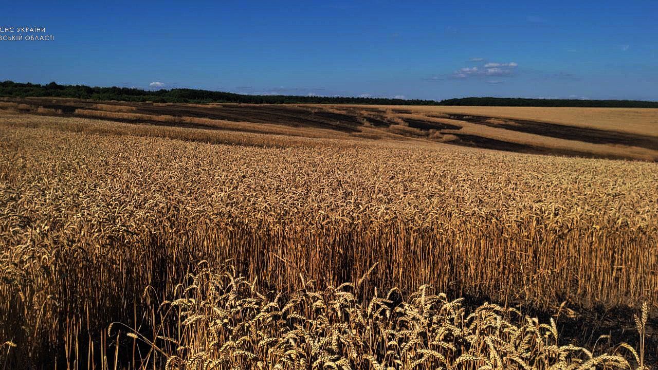 Фото до новини