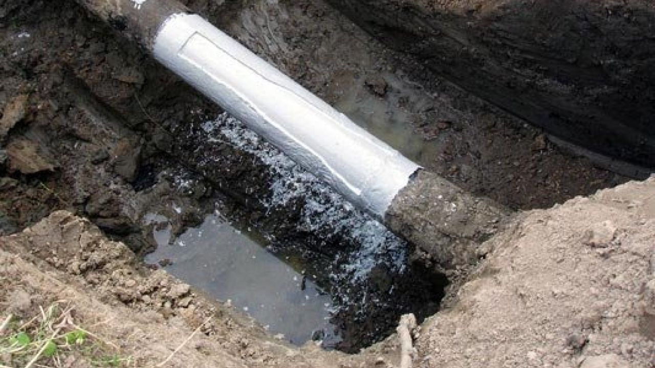 Фото до новини