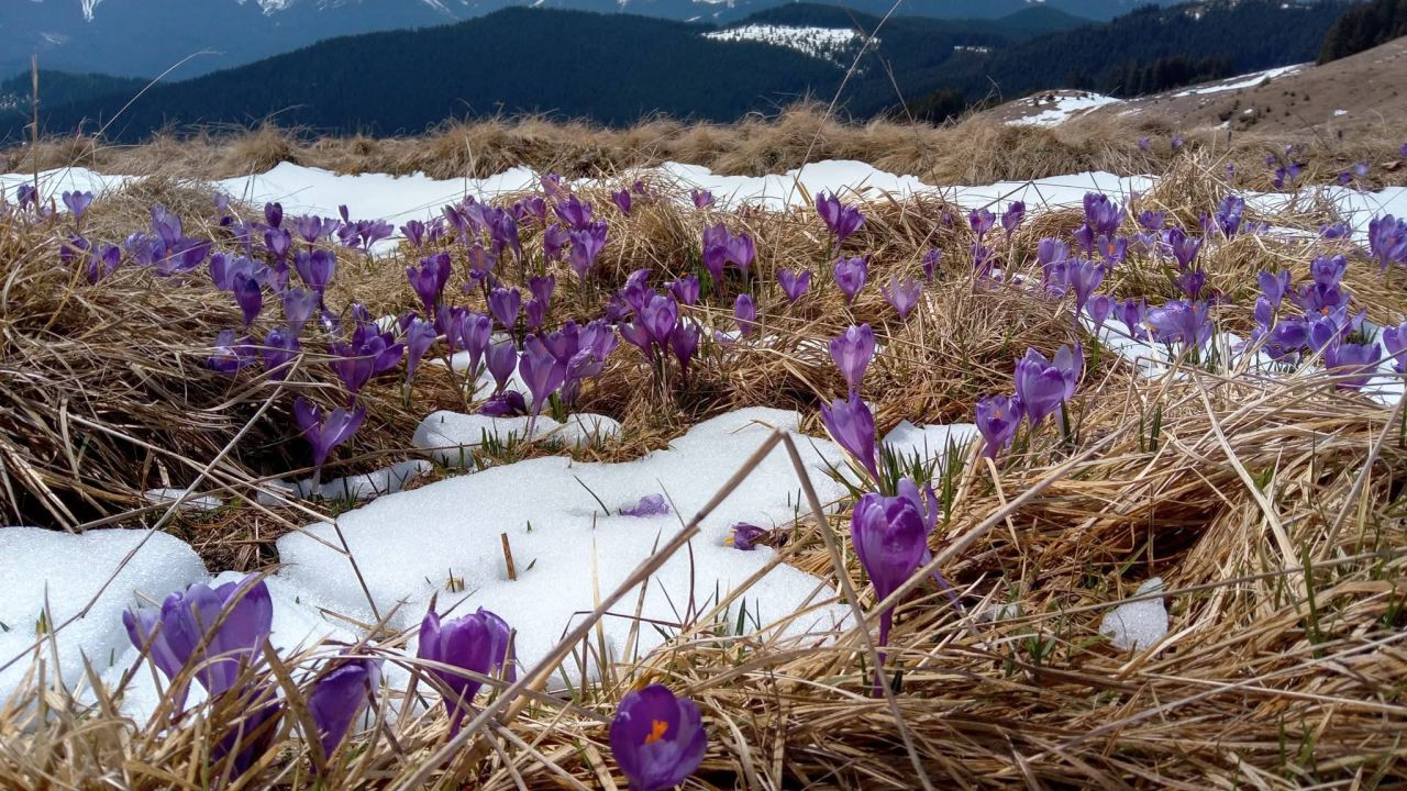 Фото до новини