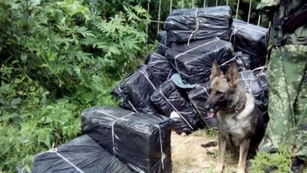 Фото до новини