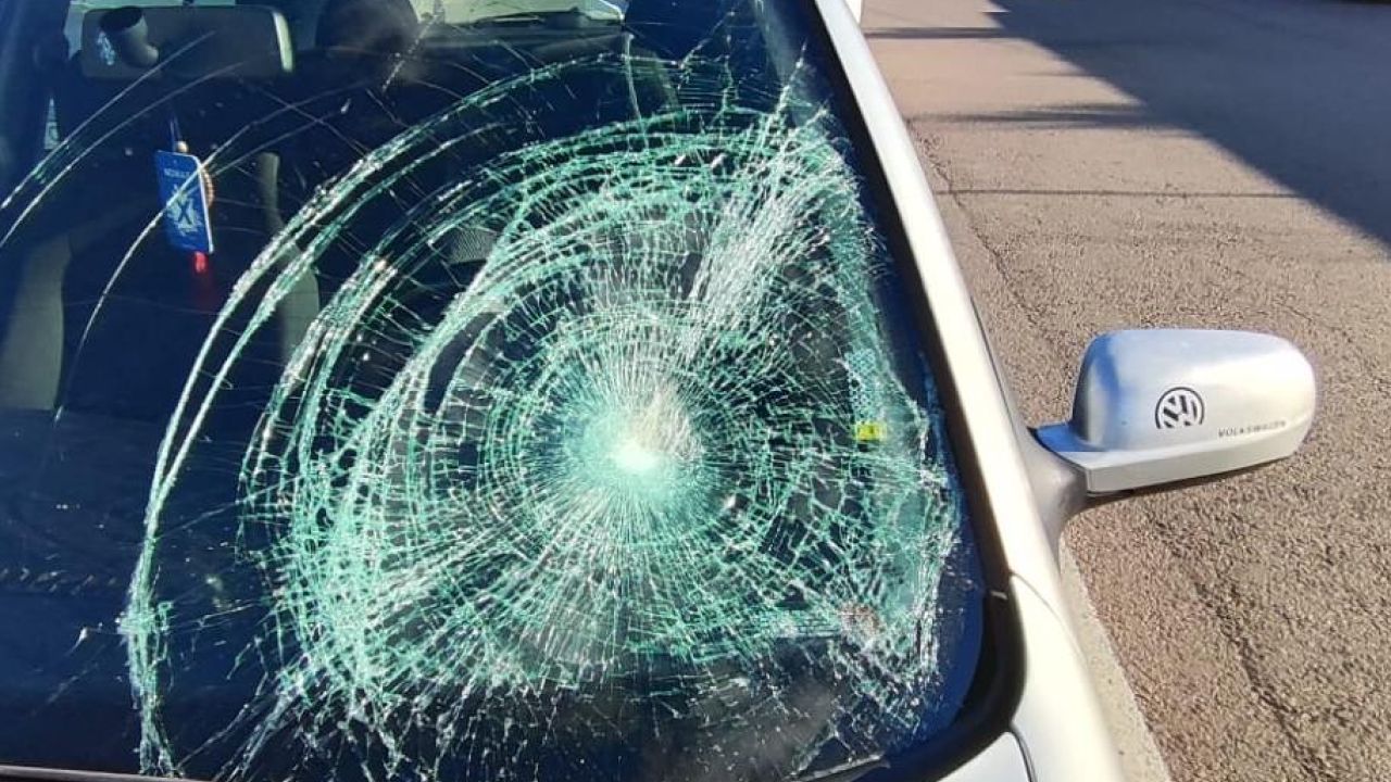 Фото до новини