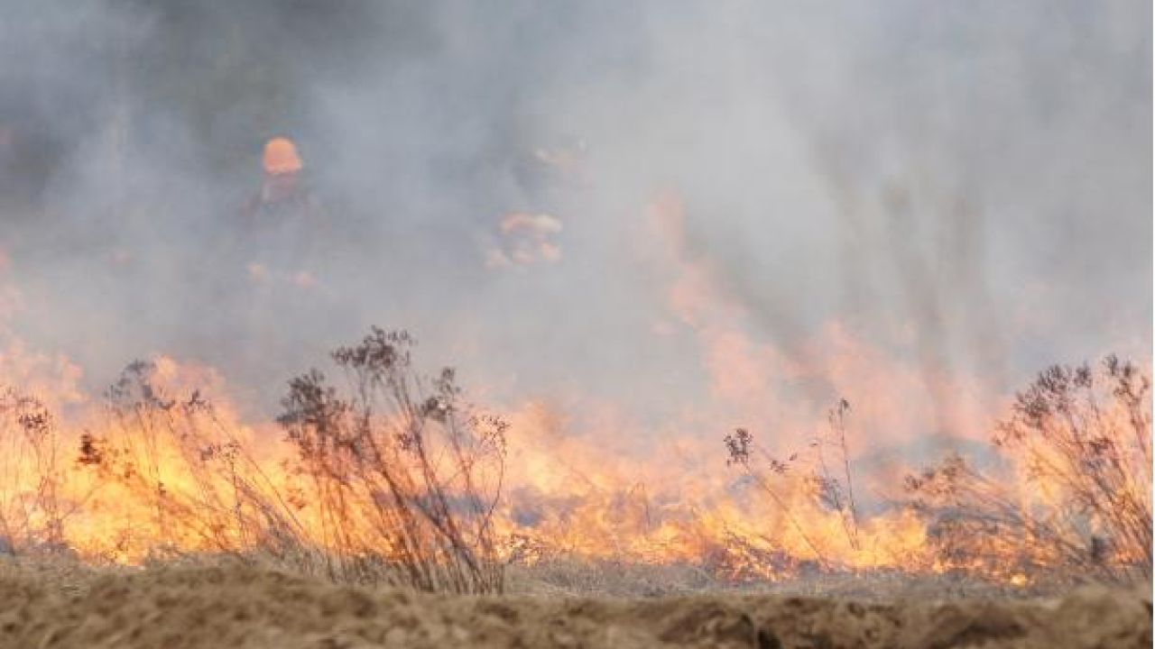 Фото до новини