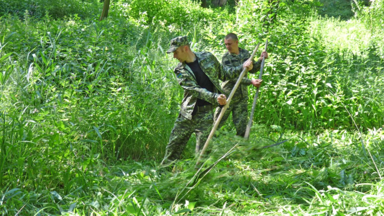 Фото до новини