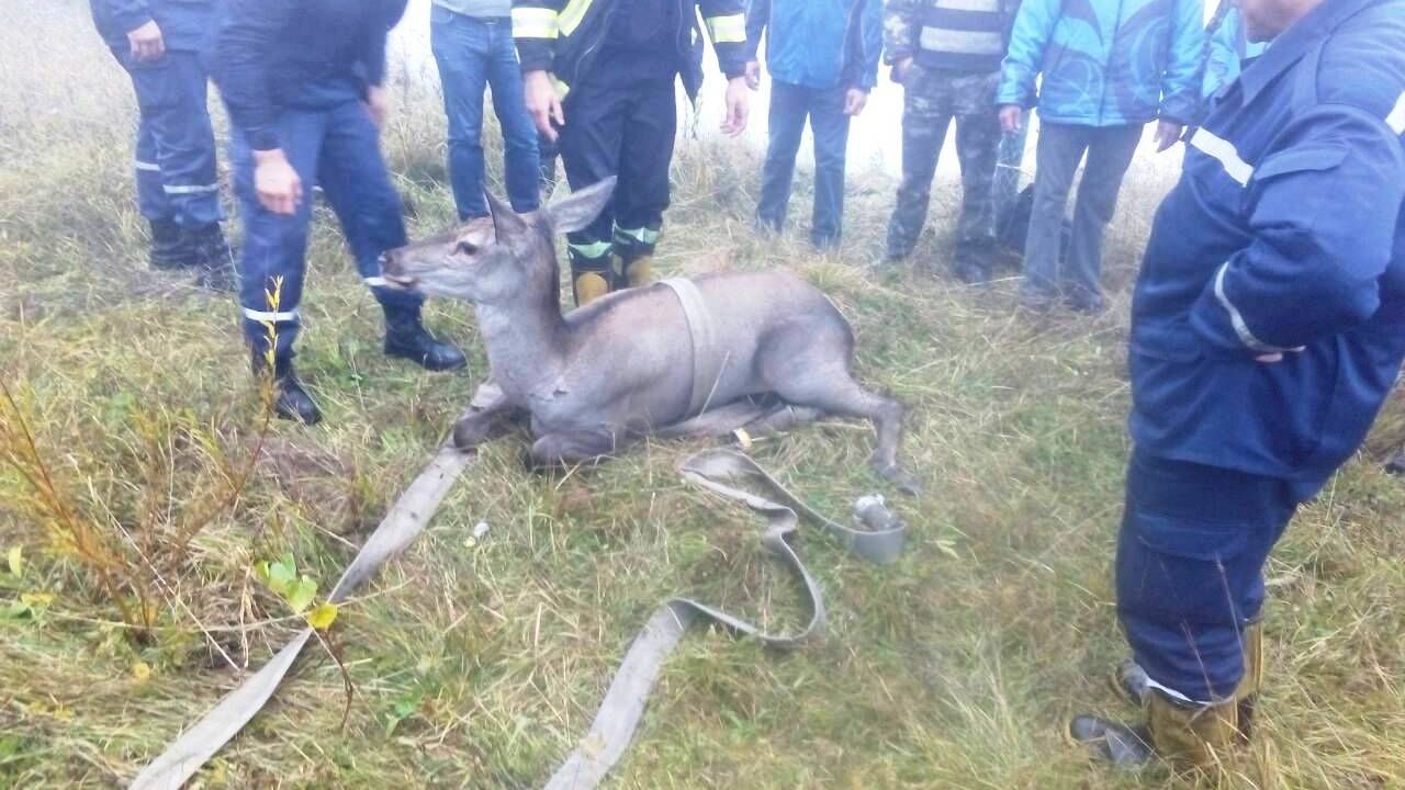 Фото до новини